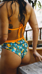 Sapucaí Laranjal